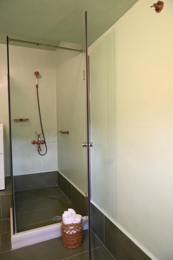 Philoxenia Traditional Apartments Agios Georgios Sykousis 外观 照片